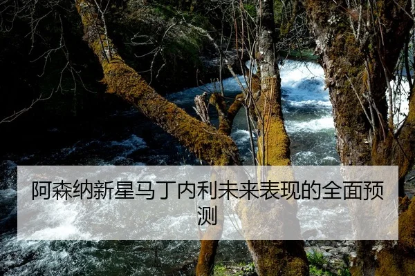 阿森纳新星马丁内利未来表现的全面预测